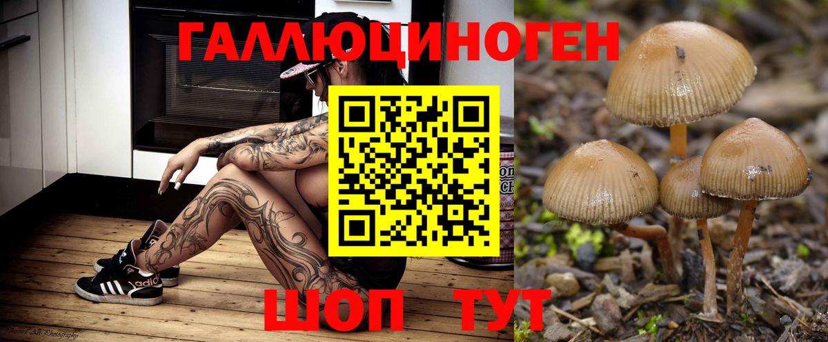 Галлюциногенные грибы прущие грибы Нижний Тагил