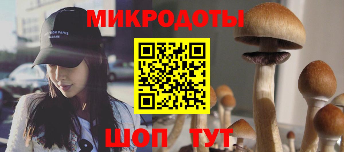 Галлюциногенные грибы MAGIC MUSHROOMS  Вход с VPN  Галлюциногенные грибы прущие грибы  Нижний Тагил 