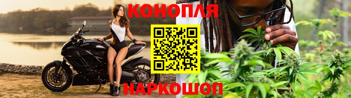 Конопля Bruce Banner Нижний Тагил